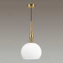 Подвесной светильник Odeon Light 4766/1 Подвесной светильник Odeon Light 4766/1