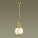 Подвесной светильник Odeon Light 4873/1