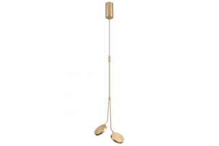 Подвесной светильник Odeon Light 5011/16L