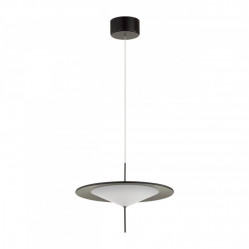 Подвесной светильник Odeon Light 5012/16L