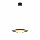 Подвесной светильник Odeon Light 5012/16L Подвесной светильник Odeon Light 5012/16L