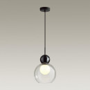 Подвесной светильник Odeon Light 5021/1 Подвесной светильник Odeon Light 5021/1