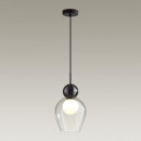 Подвесной светильник Odeon Light 5023/1 Подвесной светильник Odeon Light 5023/1