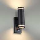 Светильник настенный Odeon Light 6605/2W Светильник настенный Odeon Light 6605/2W