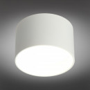 Накладной светильник Omnilux OML-100409-16 Накладной светильник Omnilux OML-100409-16