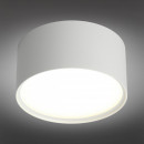 Накладной светильник Omnilux OML-100909-12 Накладной светильник Omnilux OML-100909-12