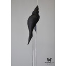 Люстра Shell 107/Drop Graphite BUTTERFLY