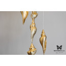 Люстра Shell 107*3+108*2/30 Brass BUTTERFLY
