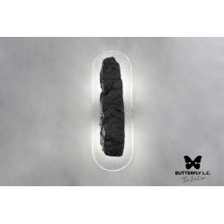 Бра Lava/Handmade Glass Graphite BUTTERFLY