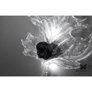 Бра Leaf GL Rose Graphite BUTTERFLY