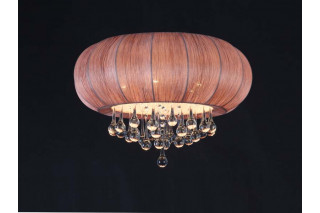 Накладная люстра ST-Luce SL350.082.05