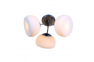Накладная люстра ST-Luce SL482.502.03
