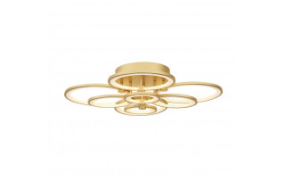 Накладная люстра ST-Luce SL867.302.08