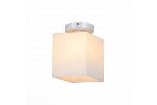 Накладной светильник ST-Luce SL548.501.01