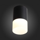 Накладной светильник ST-Luce ST100.442.05 Накладной светильник ST-Luce ST100.442.05
