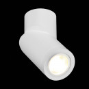 Накладной светильник ST-Luce ST650.502.01 Накладной светильник ST-Luce ST650.502.01