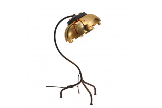 Настольная лампа ST-Luce SL817.424.01