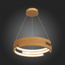Подвесная люстра ST-Luce SL963.703.01