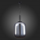 Подвесной светильник ST-Luce SL1050.713.01 Подвесной светильник ST-Luce SL1050.713.01