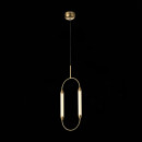 Подвесной светильник ST-Luce SL6004.303.02 Подвесной светильник ST-Luce SL6004.303.02