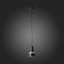 Подвесной светильник ST-Luce ST102.403.12 Подвесной светильник ST-Luce ST102.403.12