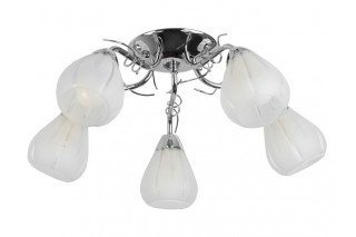 Накладная люстра TOPLIGHT TL3640X-05CH