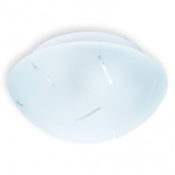 Накладной светильник TOPLIGHT TL9400Y-02WH