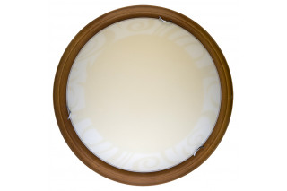 Накладной светильник TOPLIGHT TL9620Y-00OA