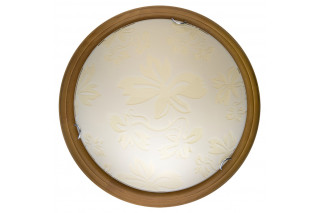 Накладной светильник TOPLIGHT TL9640Y-00OA