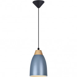 Подвесной светильник TOPLIGHT TL0724H-2N