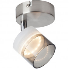 Спот TOPLIGHT TL1230Y-01SN