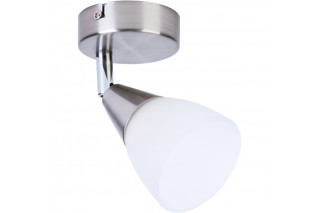 Спот TOPLIGHT TL1232Y-01SN