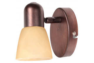 Спот TOPLIGHT TL1235Y-01AB