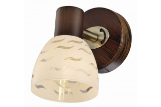 Спот TOPLIGHT TL3730Y-01BB