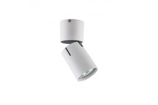 Накладной светильник Vele Luce VL8061S21