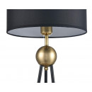 Настольная лампа Vele Luce VL5764N01